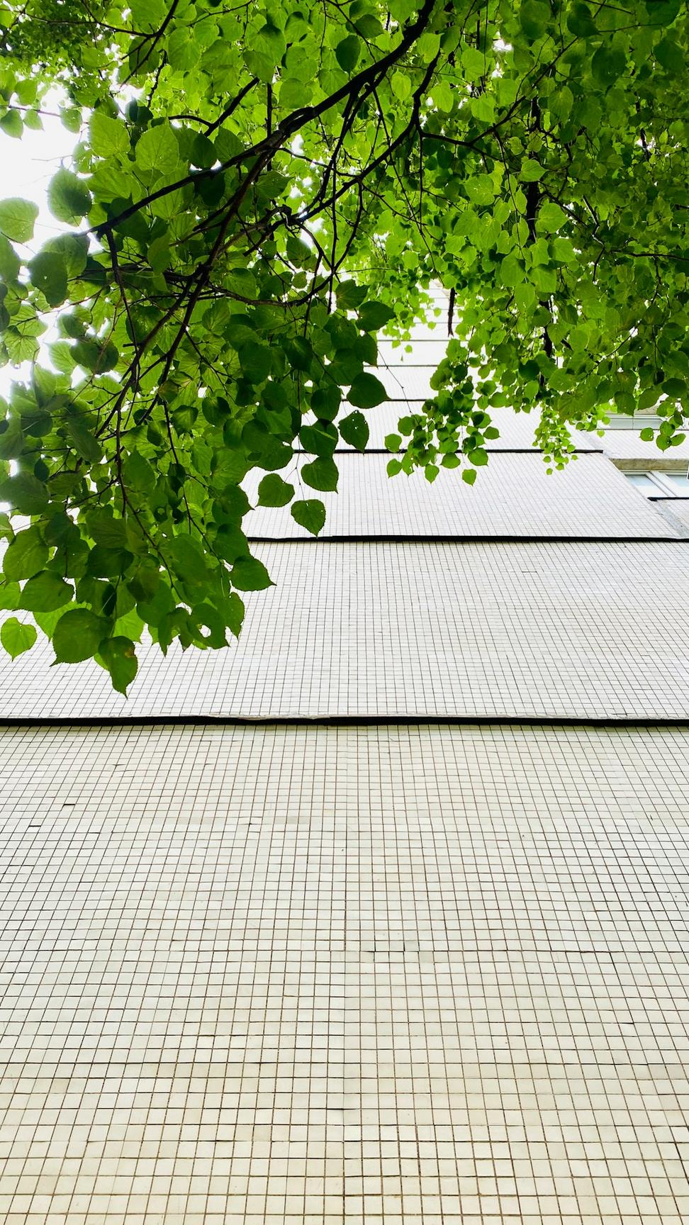 Green Tech Campus